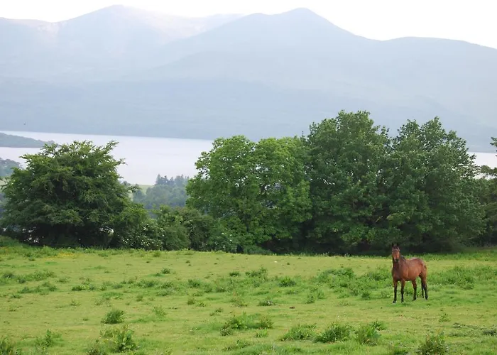 Сasa de vacaciones Old Killarney