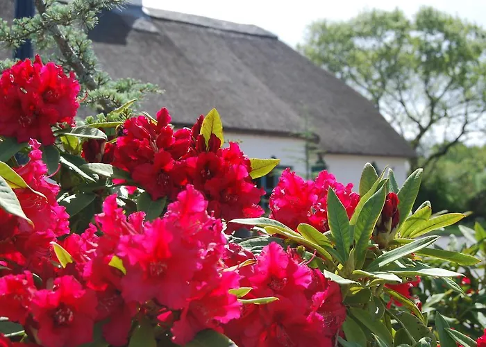 Дом отдыха Old