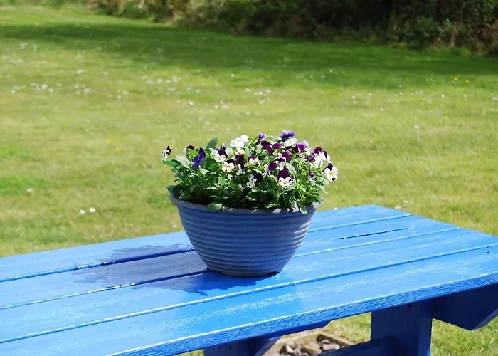 Old * Килларни